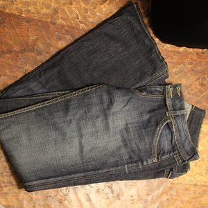 💛Hudson Dark Flare Jeans